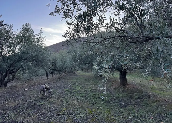 Casa Rural Los Caleros